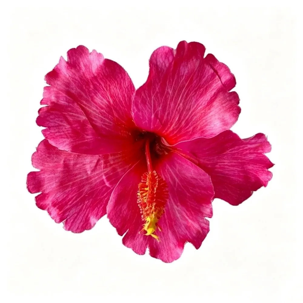 Hair Accessories Artificial Flower Hibiscus Flower Hair Clip Do Not Hurt Hair Bohemia Style Hearwear Bangs Hairpin Summer