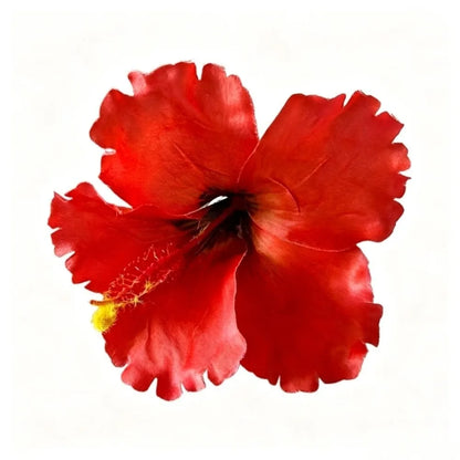 Hair Accessories Artificial Flower Hibiscus Flower Hair Clip Do Not Hurt Hair Bohemia Style Hearwear Bangs Hairpin Summer